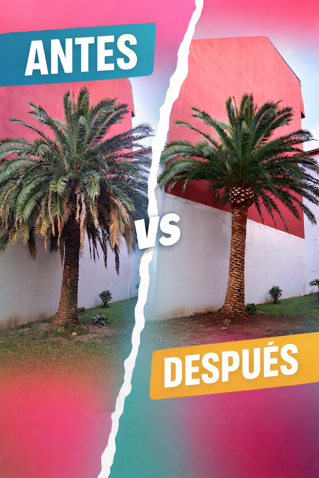 Césped natural en Bizkaia