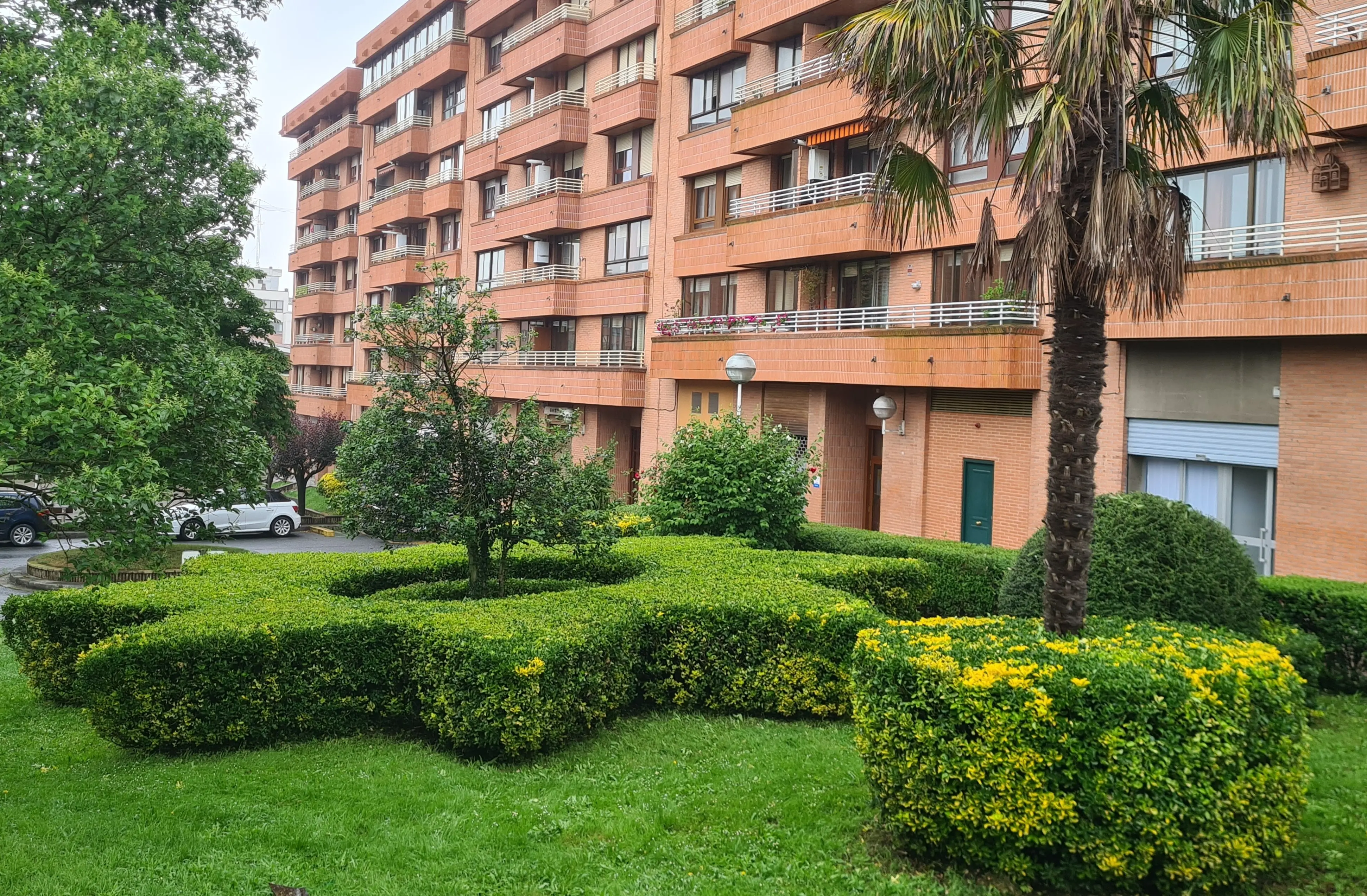 Corte y perfilado de setos en Bizkaia