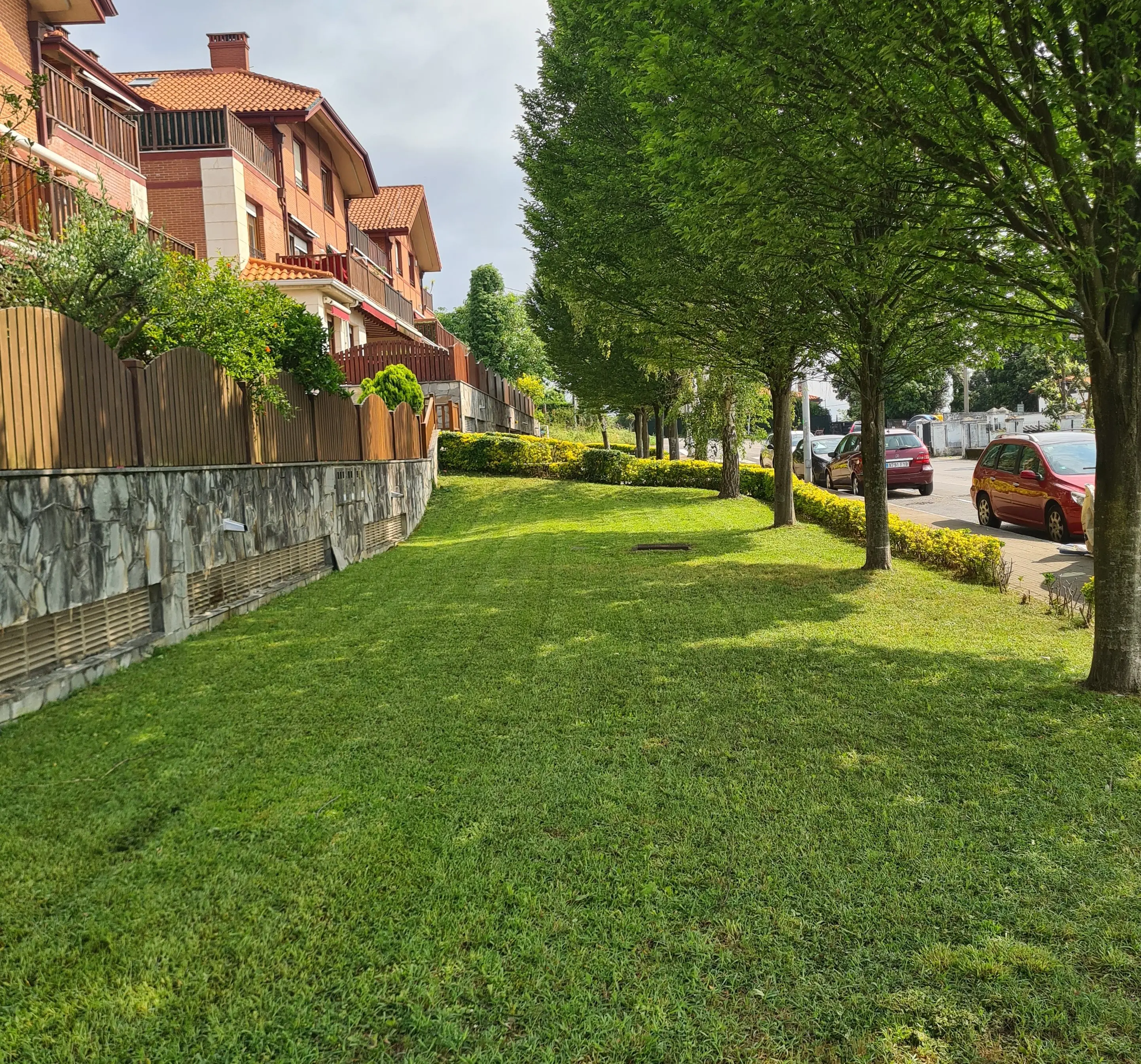 Instalación de césped natural y artificial en Bizkaia