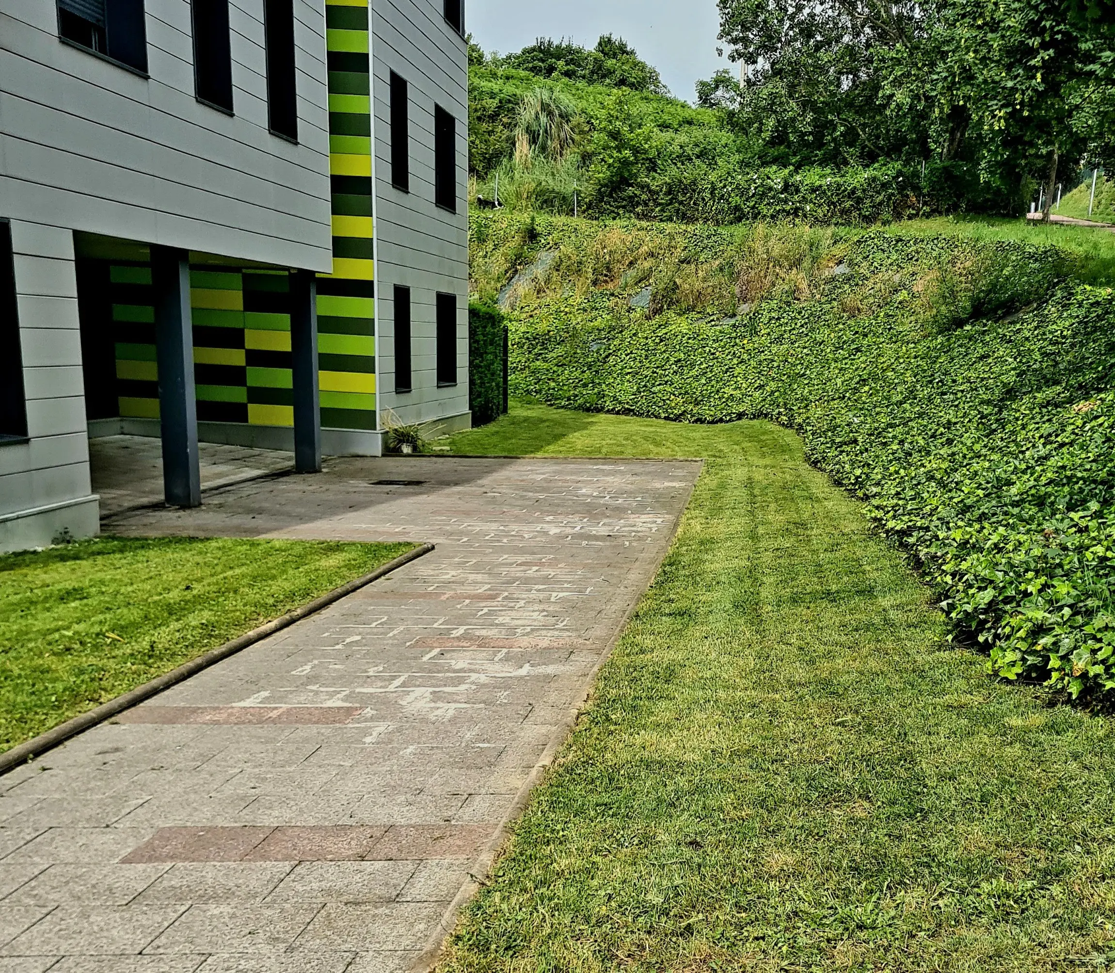 Desbroce y limpieza de terrenos en Bizkaia