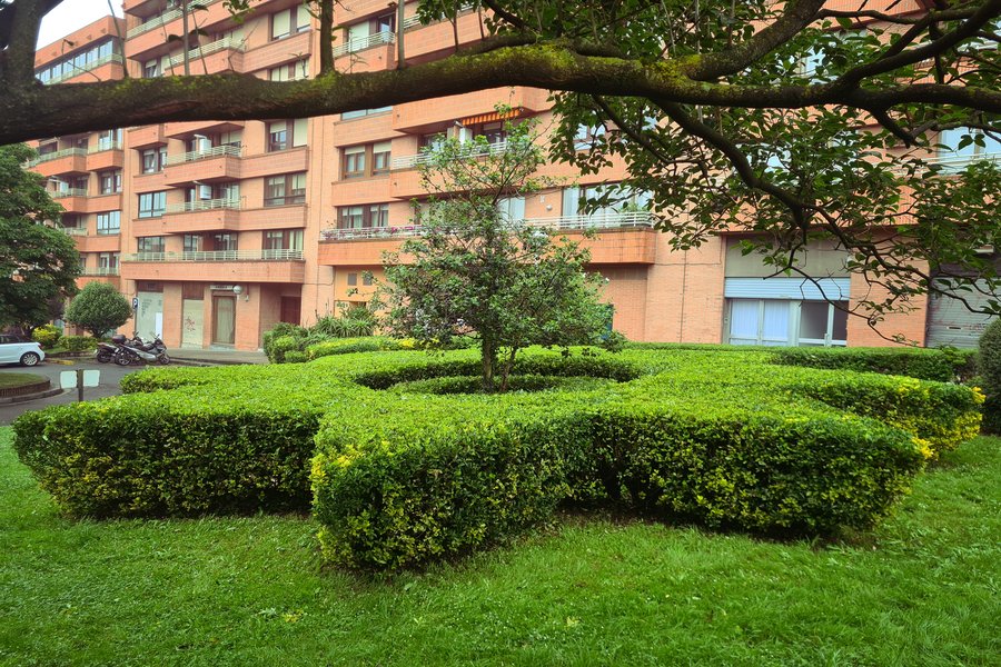 Césped natural en Bizkaia