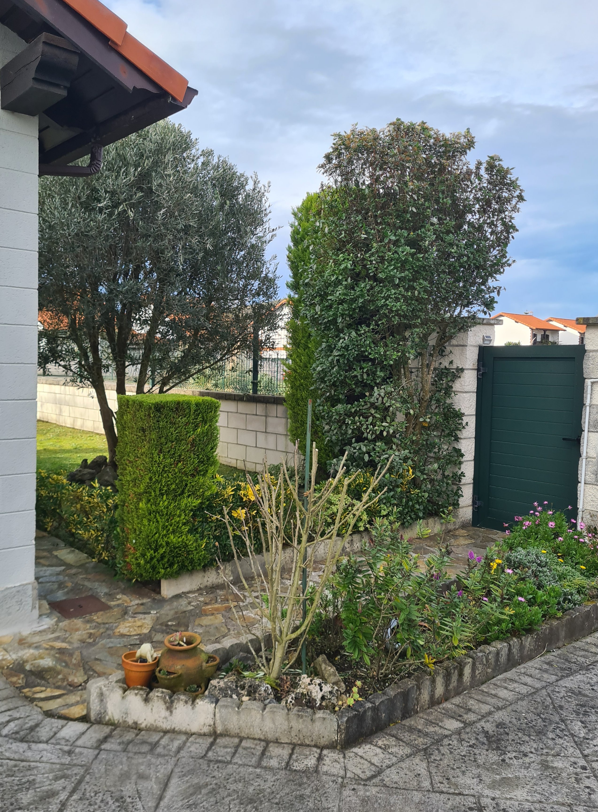 Césped natural en Bizkaia